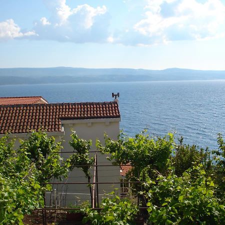 Apartmani Stanic Rosa Stanici エクステリア 写真