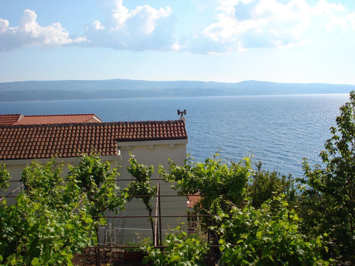 Apartmani Stanic Rosa Stanici エクステリア 写真